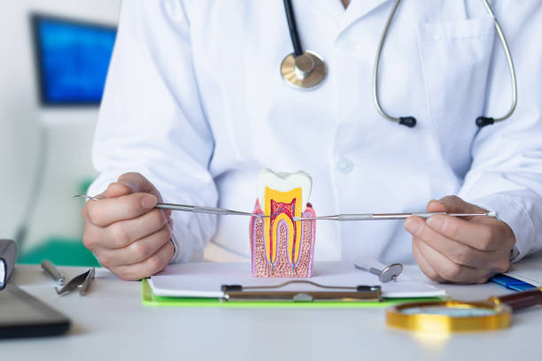 Best 24-Hour Emergency Dentist in Rossmoor, CA